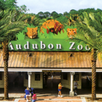 Audubon Zoo