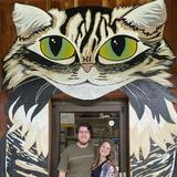 WNC Cat Museum
