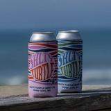 Salty Turtle Beer Company