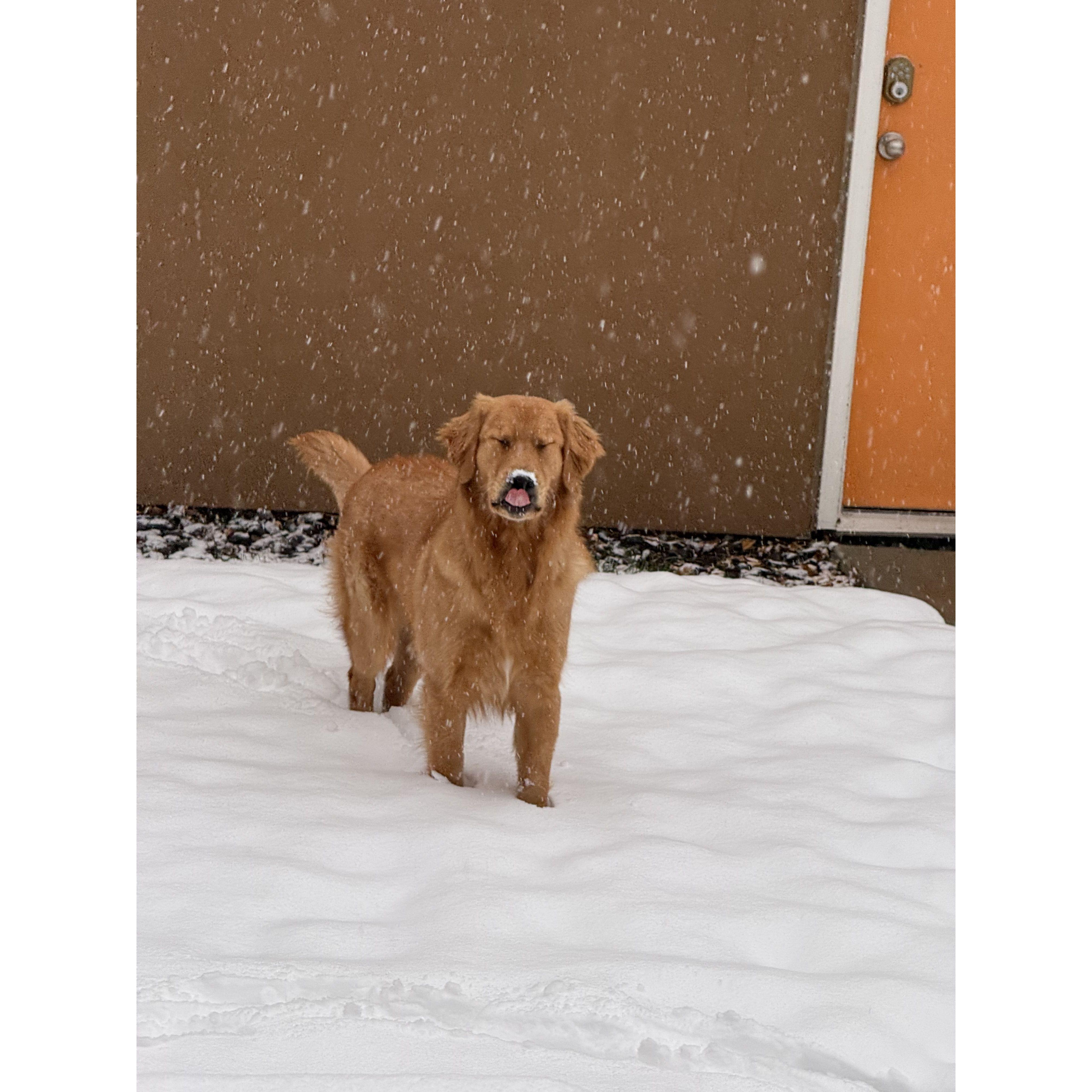 Bo and the snow