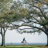 Best Walk in St. Pete