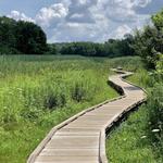 Appalachian Trail Boardwalk