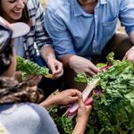 Food and Farm Tours