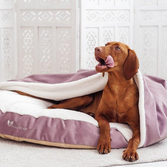 Cave Dog Bed