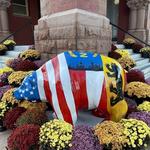 Explore Historic Downtown & Spot the Bears