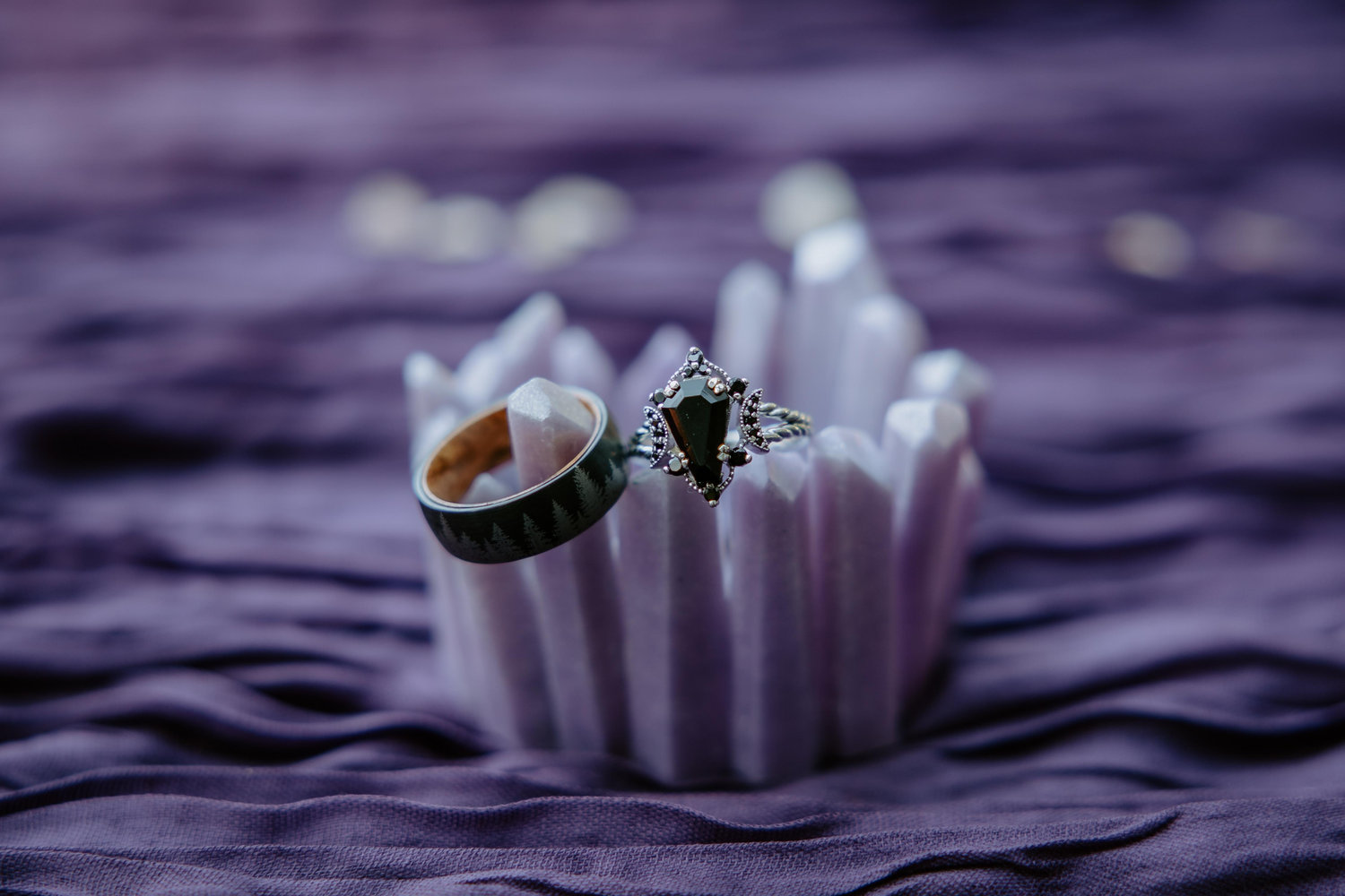 The Wedding Website of Jess Greene and Terence Dolan