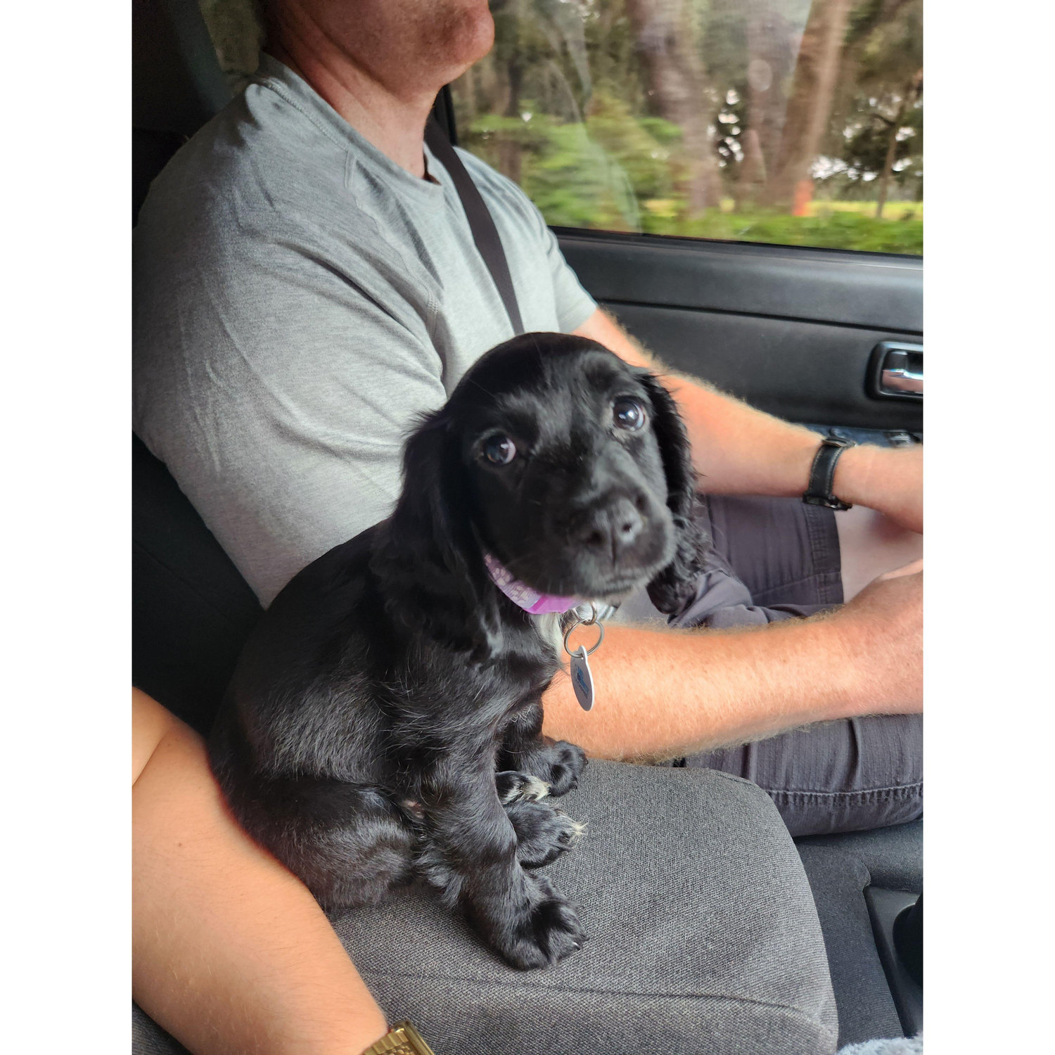 when Echo joined the family <3