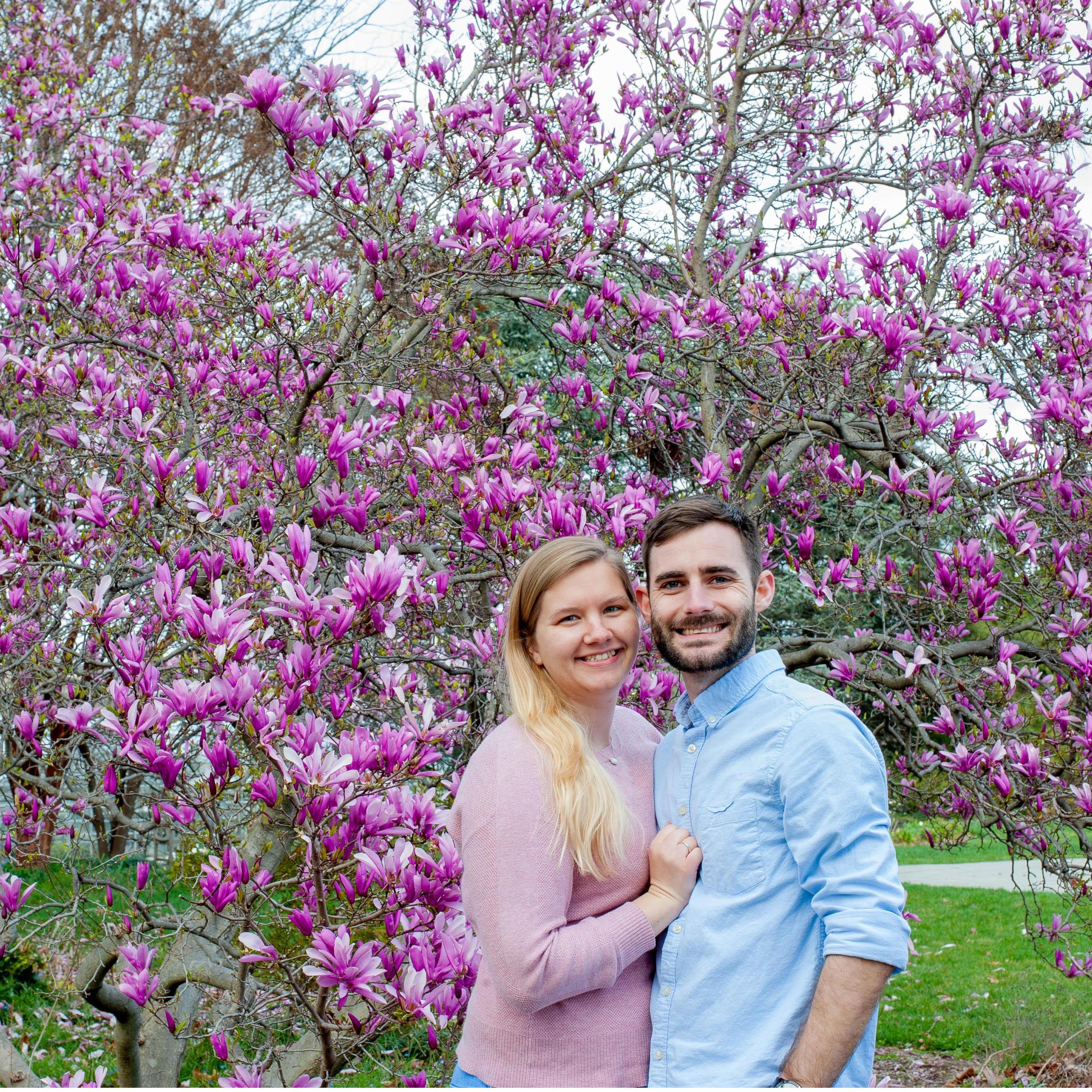 National Arboretum with Cherry Blossoms blooming
March 2020