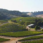 Paso Robles Wine Tasting