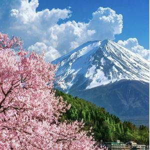 Honeymoon in Japan experiences fund