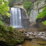 Pisgah National Forest
