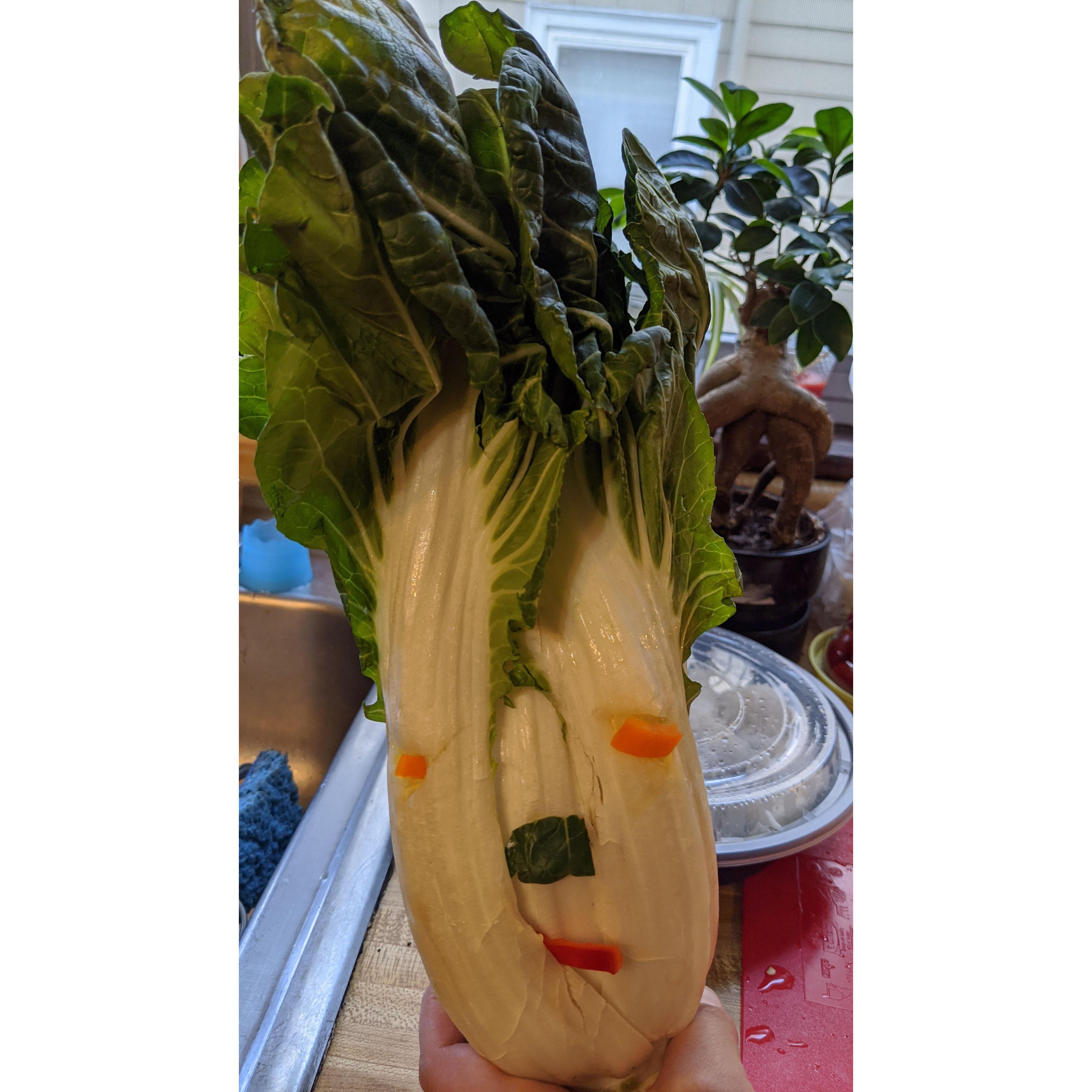 Pandemic Pastimes: Bob the Bok Choy