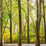 Theodore Roosevelt Island
