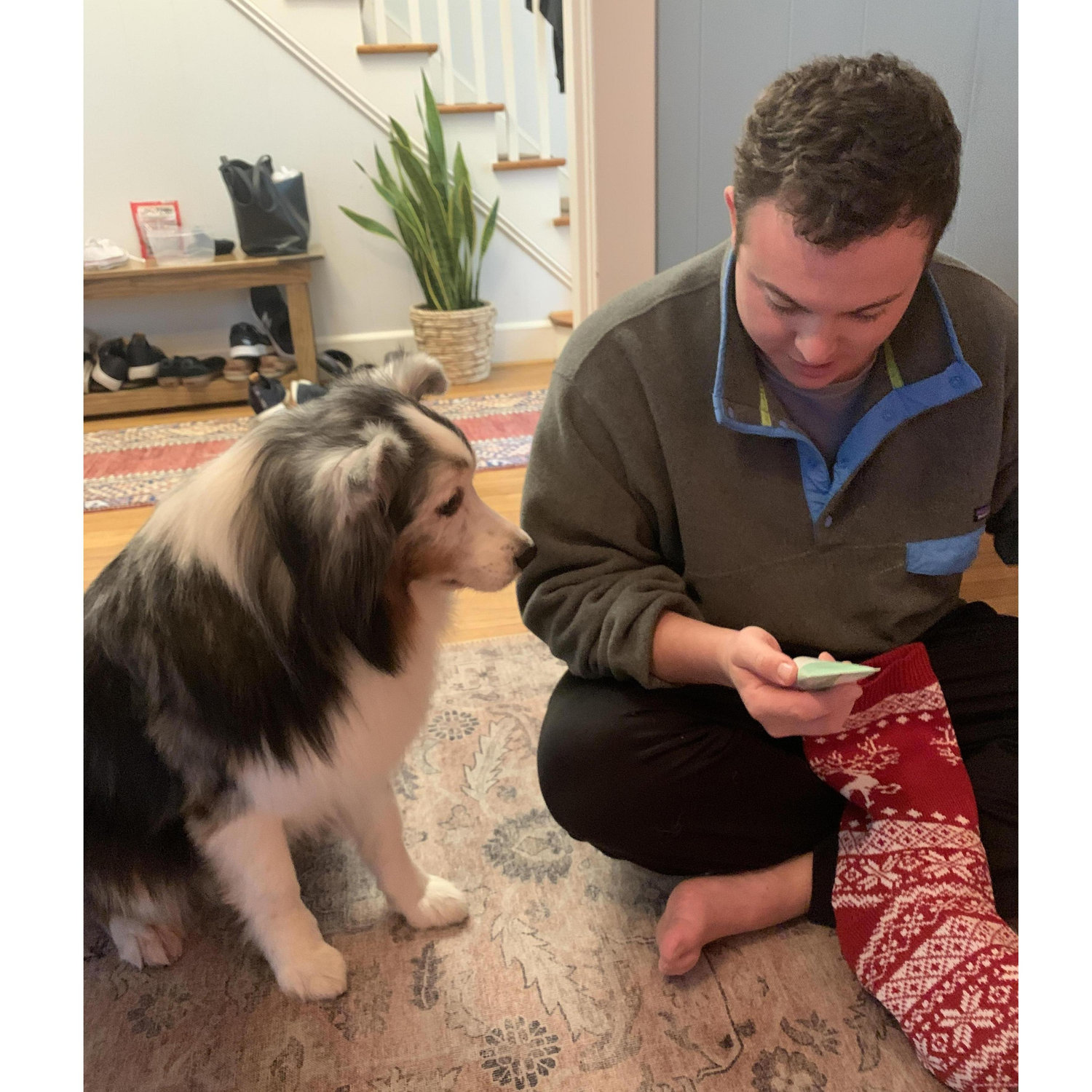 Our first Christmas away from home.