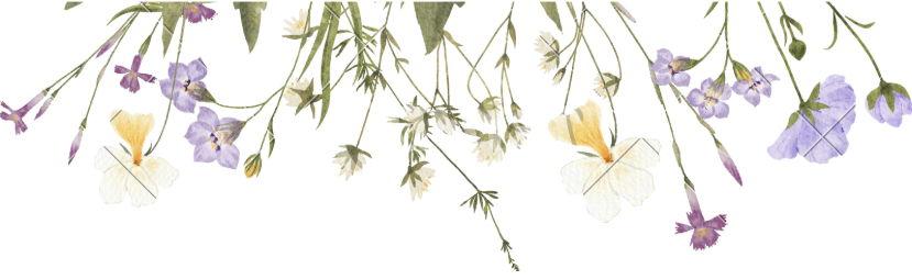 The Wedding Website of Stephania Canales and Jaycee Pollock