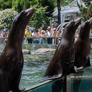 NYC Zoo Membership