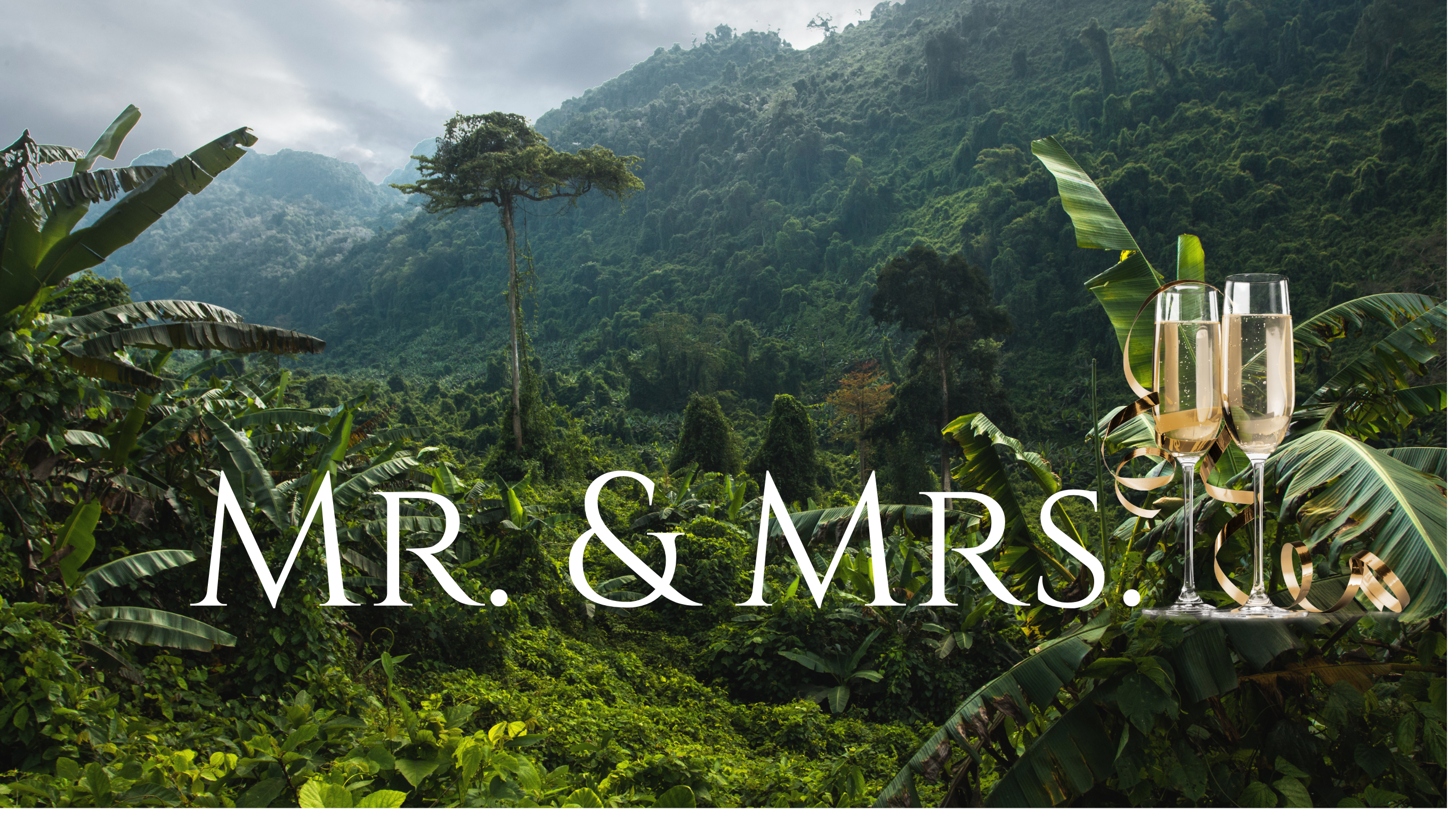 The Wedding Website of Meghan Wrublewski and James McDaniel
