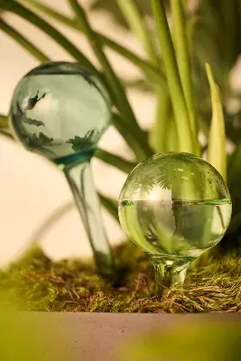 Watering Globes, Set of 2