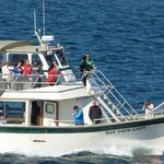 Portland Harbor Cruise