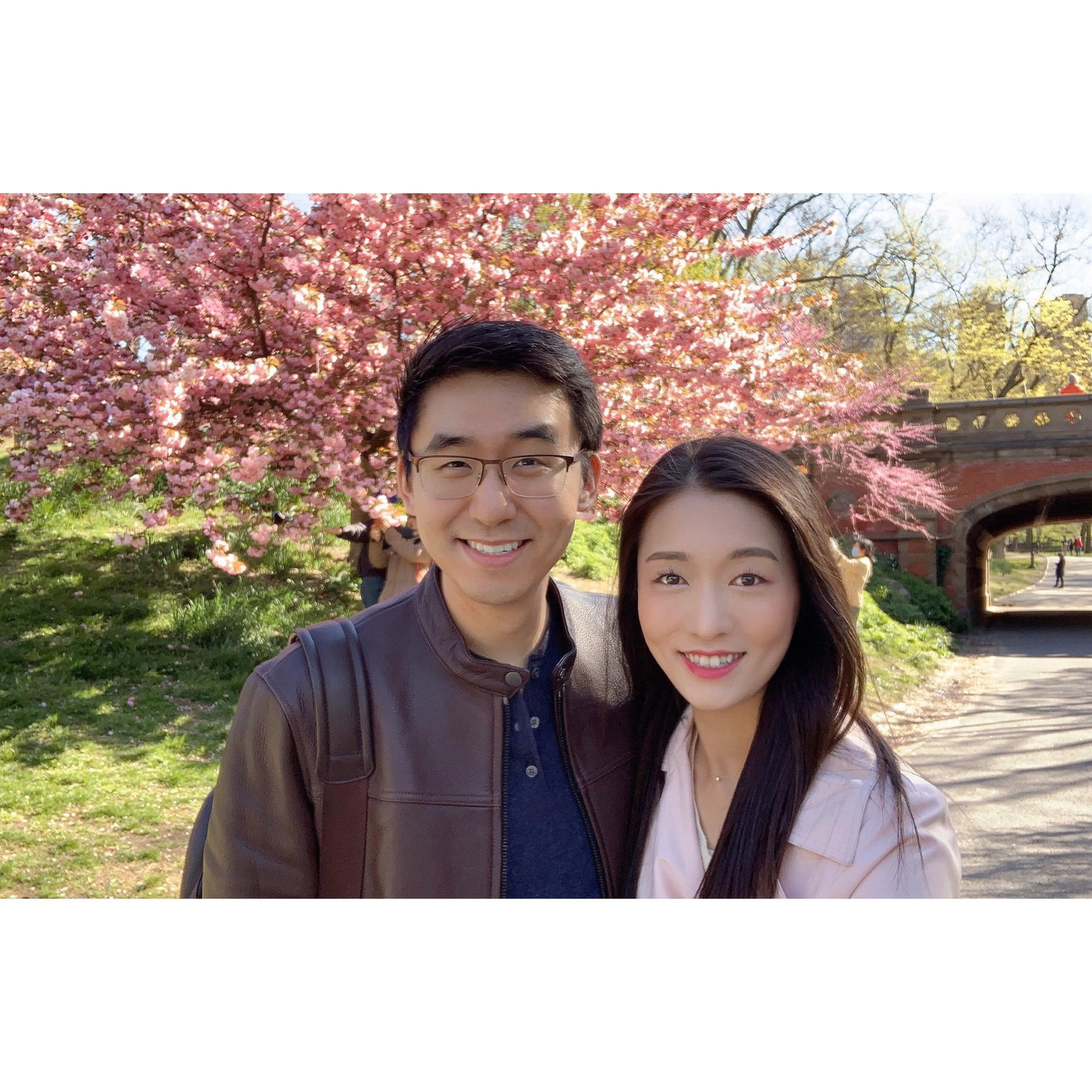Enjoying the cherry blossoms in Central Park.