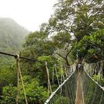 Taman Negara National Park Malaysia