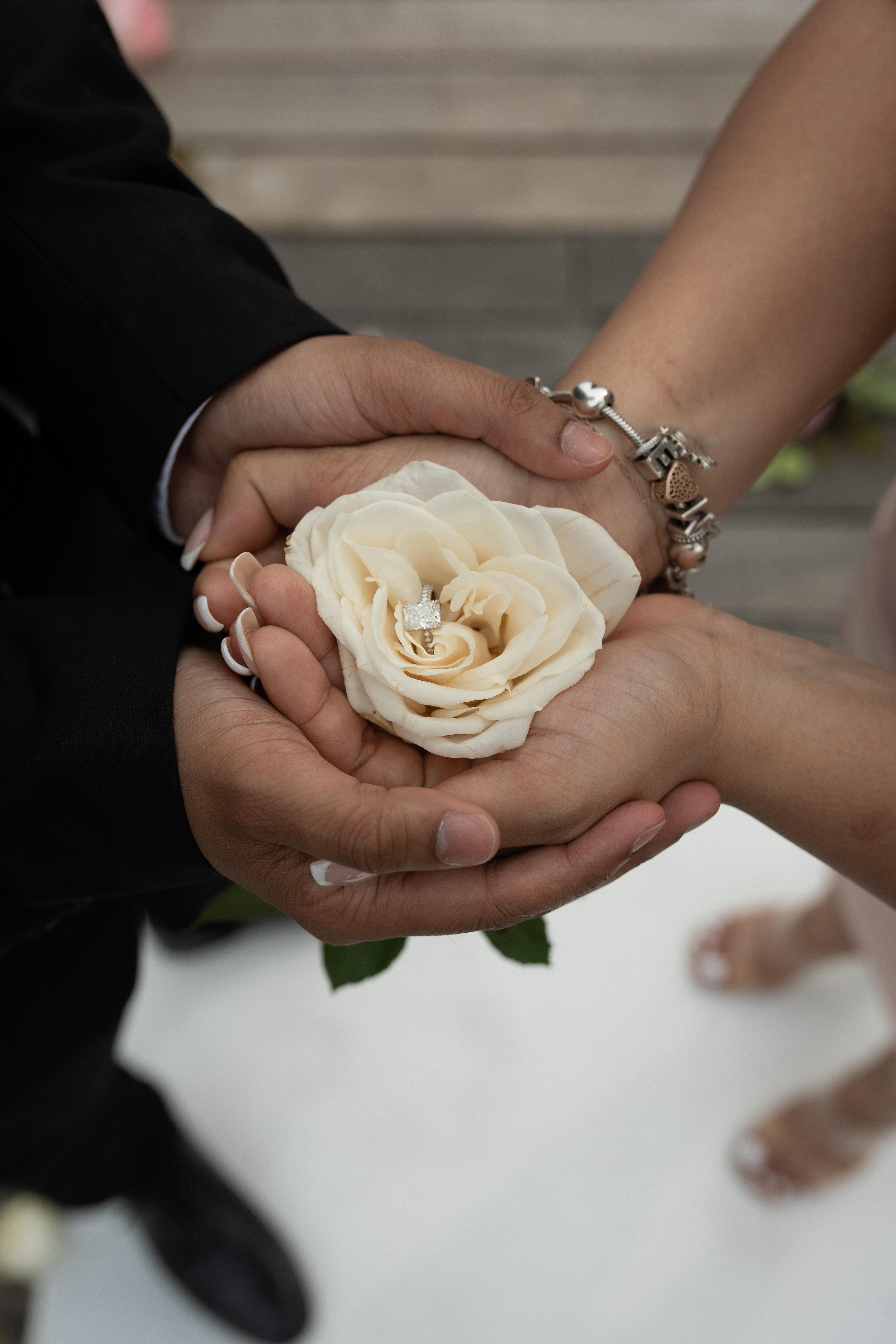 The Wedding Website of Elizabeth Persaud and Mark Jamna