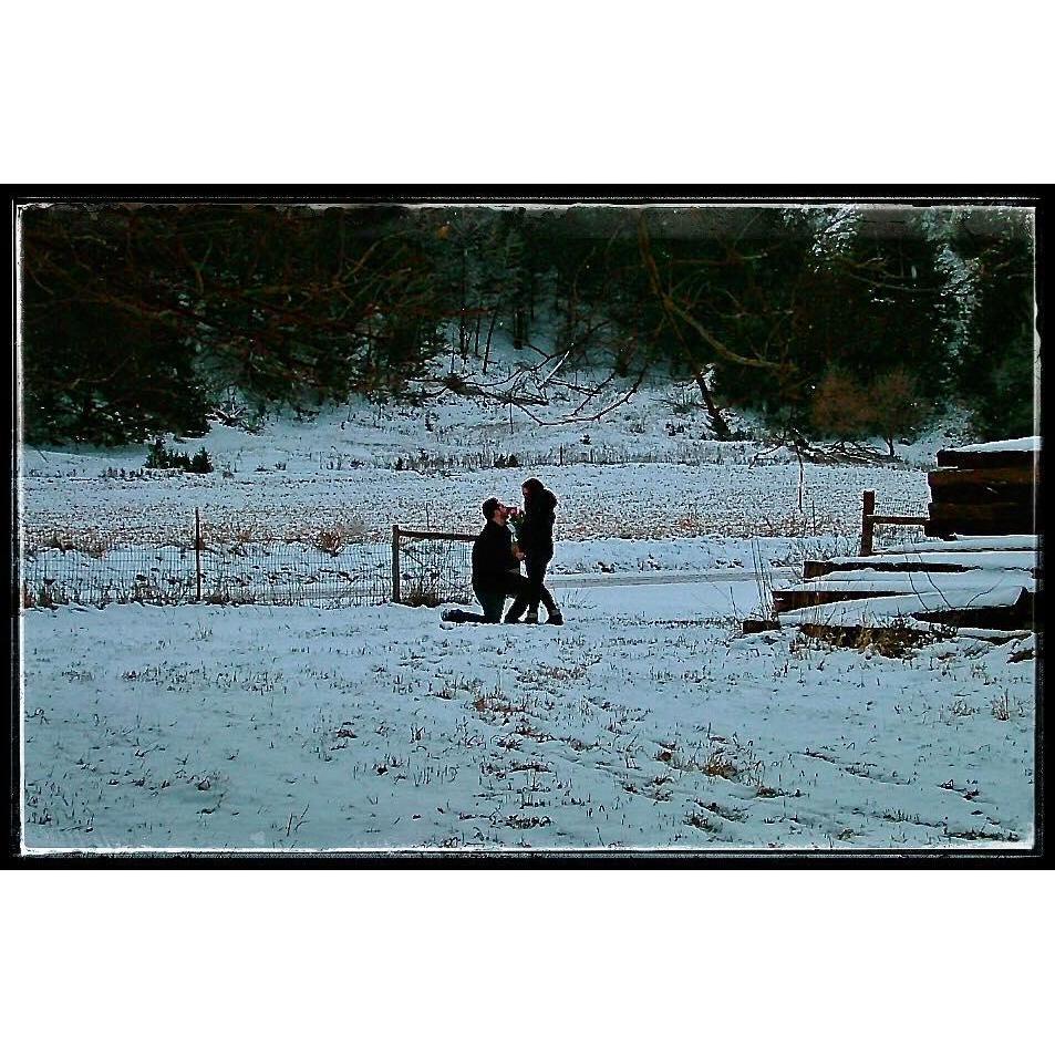 The proposal on Abbey's family's farm, December 2017