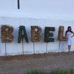 Wine farm: Babel at Babylonstoren