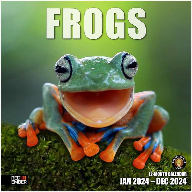 RED EMBER Frogs 2024 Hangable Monthly Wall Calendar | 12" x 24" Open | Thick & Sturdy Paper | Giftable | Kids Teen Fun | The Enchanting World of Frogs