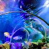 SEA LIFE Charlotte-Concord