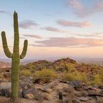 South Mountain Park and Preserve