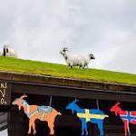 Al Johnson’s Swedish Restaurant & Butik