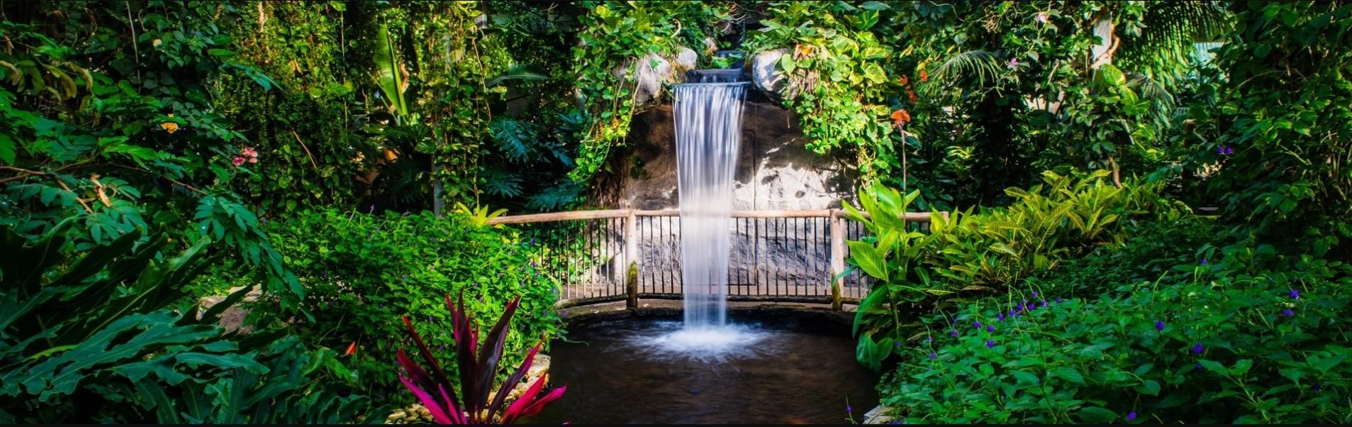 The Wedding Website of Aly Betts and Leif Growen