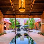 Oak Farm Vineyards