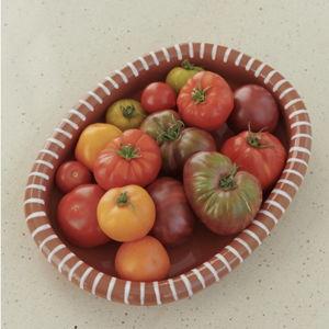 Barro Oval Dish – Design Within Reach