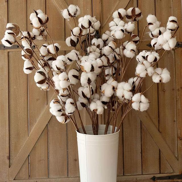 idyllic Pack of 6 Cotton Stems - 31 Inches Tall - 12 Cotton Bolls Per Stem Real Elastic Cotton Stalk Rustic Floral for Home Decor Wedding Centerpiece Farmhouse Style