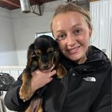 Millie was Adopted!