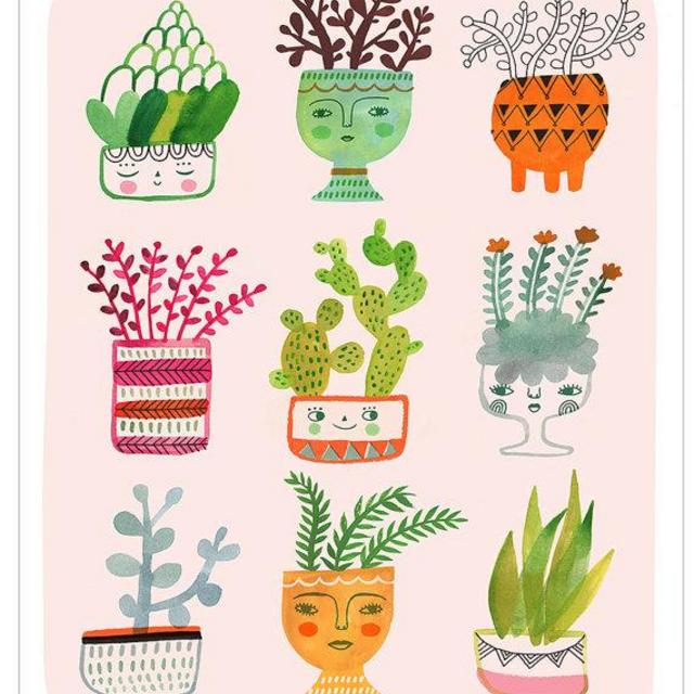 ETSY.COM : CURIOUS CACTI