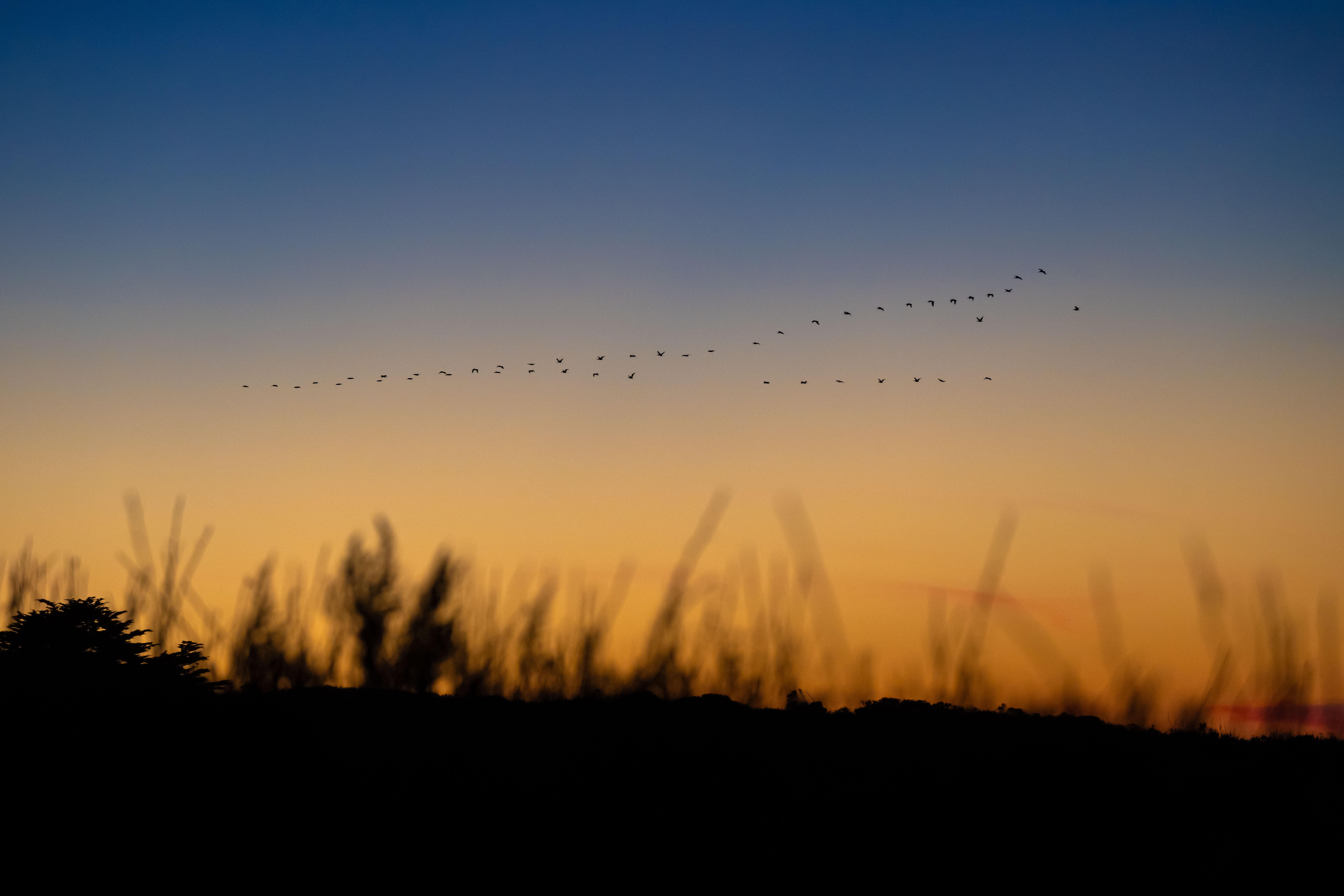 The Wedding Website of Breanne Brown and Glenda Rivas