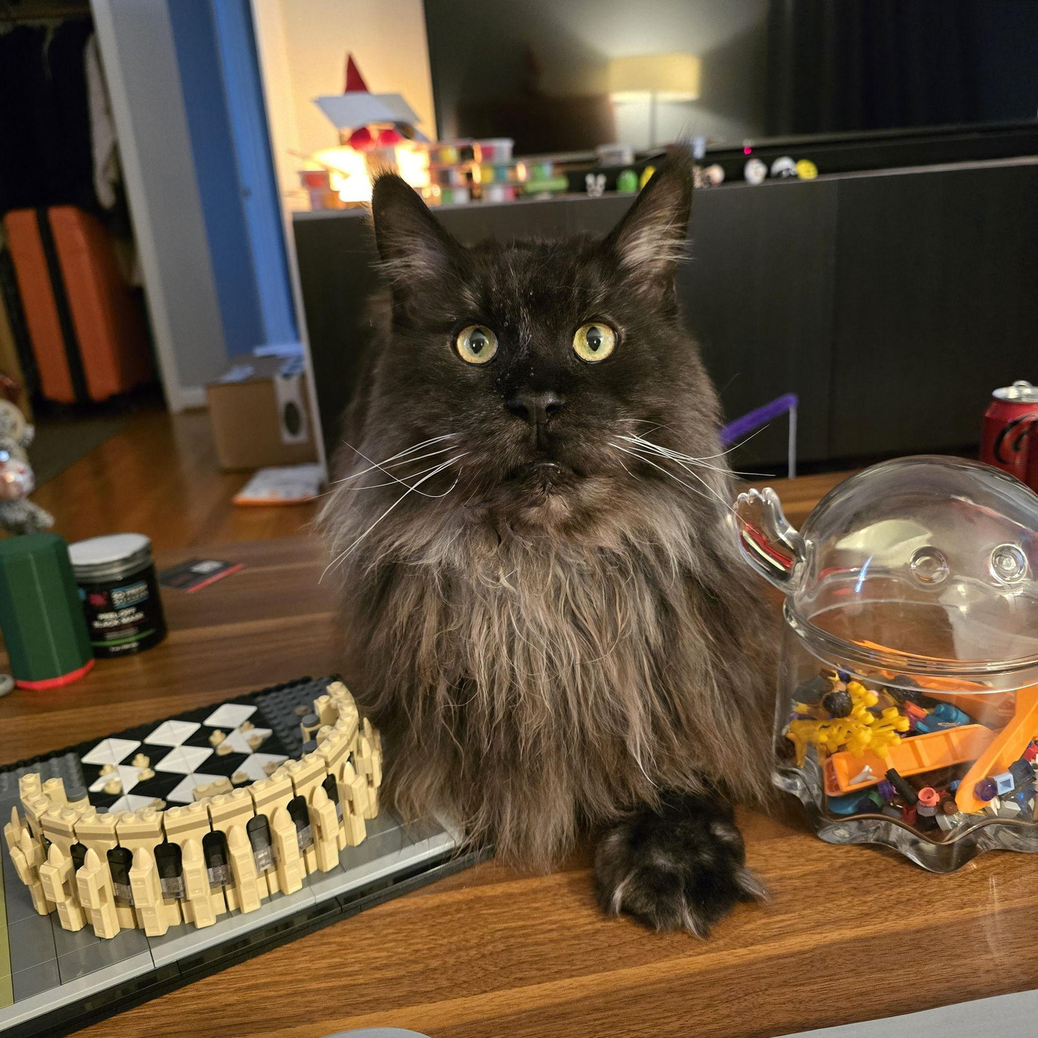 Jeremy helping us grow our Lego collection
