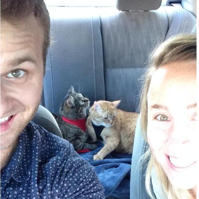 You know you've met "the one" when they're willing to help you clean up cat vomit from the back seat 15 minutes into a 3-hour car ride.
