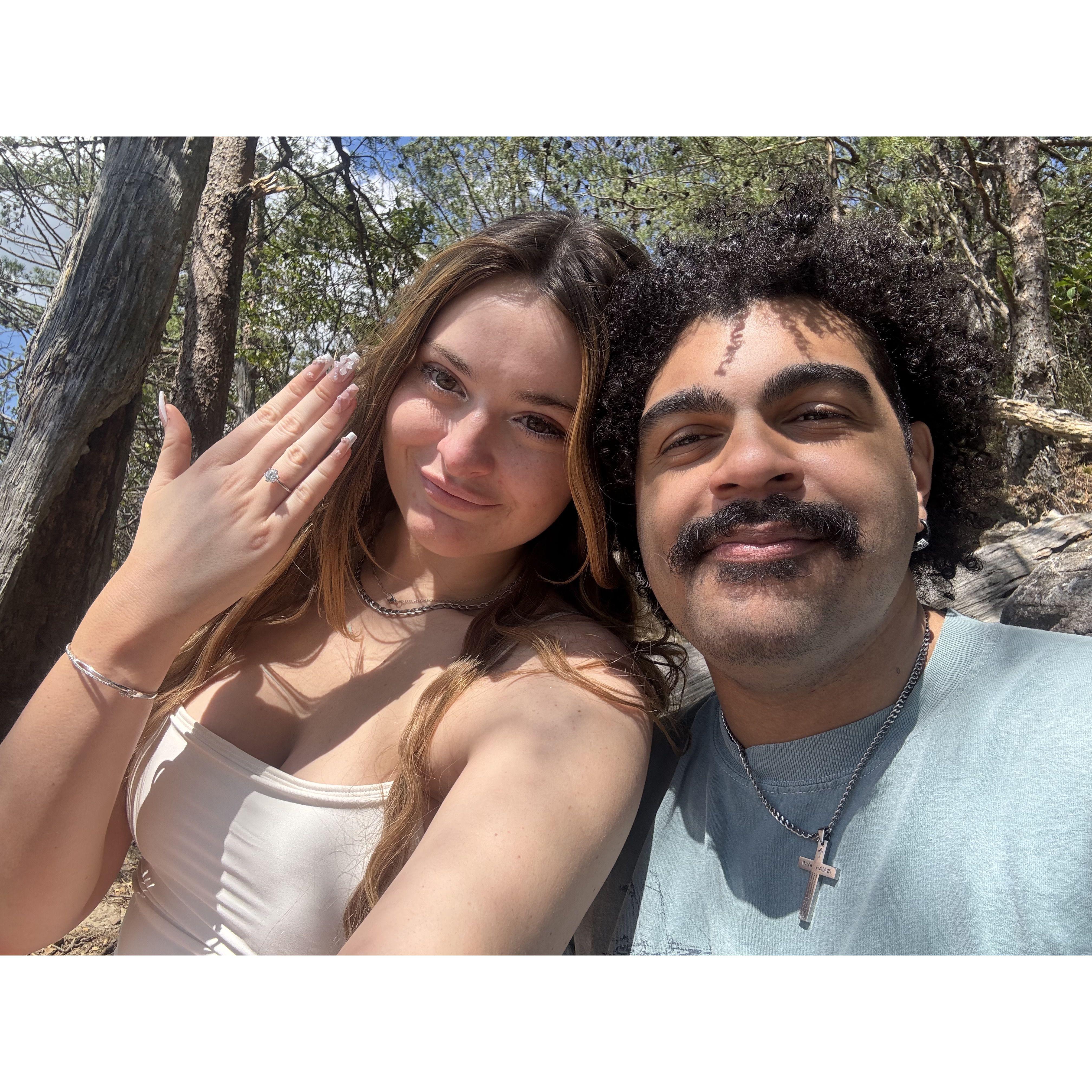 Engaged! 4/5/25 Smoky mountains