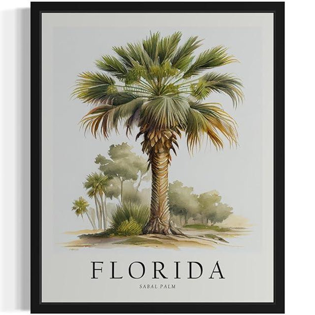 HomeArtPrint Florida Sabal Palm Tree Poster Wall Art Painting, US State Print Artwork, Vintage Art for Bedroom Bathroom Living Room Decor 83 (Florida Sabal Palm, 16 x 20 inches, Black Frame)