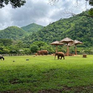 Honeymoon Resort