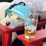 Flx Biergarten