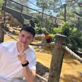 Busch Gardens Tampa Bay