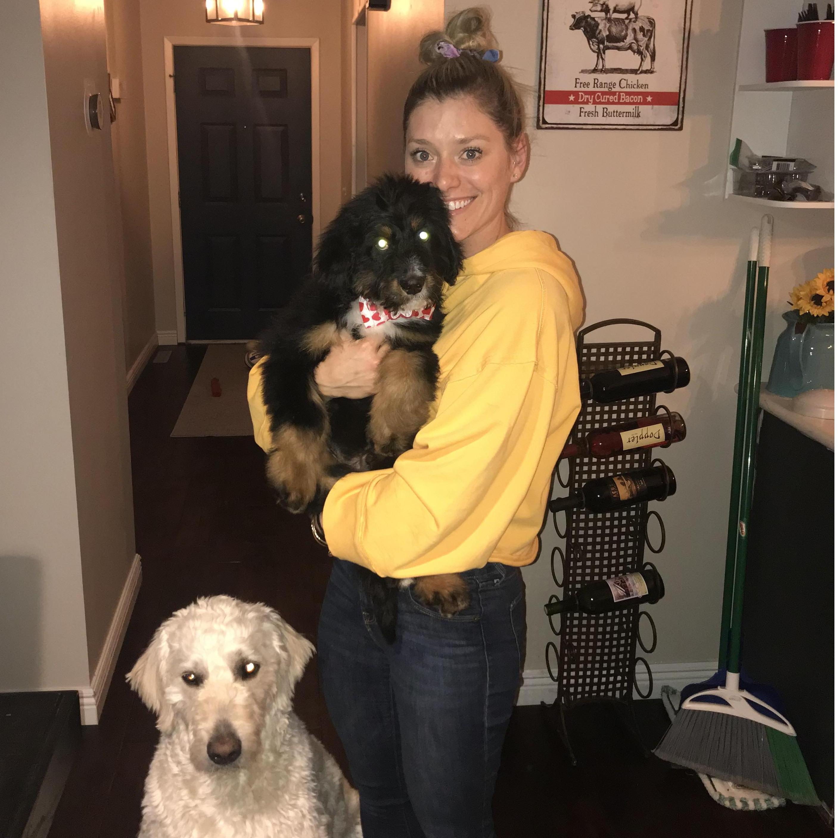 Best surprise present (until the ring 😜) when I came home to this furball... Judge Carter