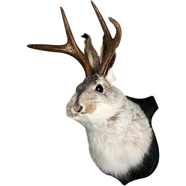 HSOSK Jackalope Mount, Jackalope Taxidermy, Animal Head Wall Decor, Deer Head Wall Mount, Resin Deer Head Animal Wall Mount,for Home Wall Decoration