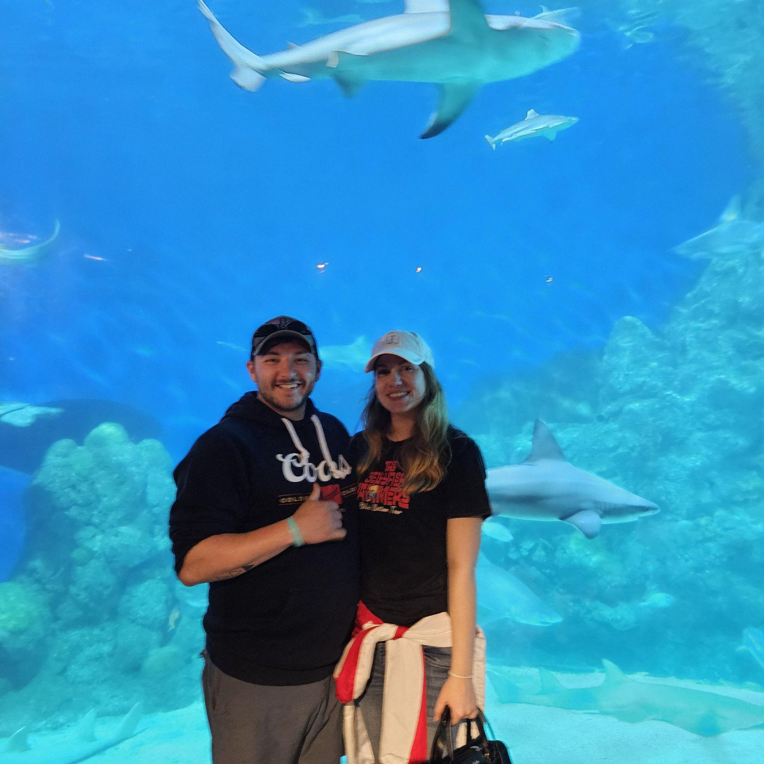 Fun Fact : Tyler and Jess both LOVE sharks.