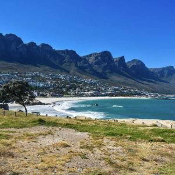 Cape of Good Hope & Boulder Penguins Tour from Cape Town